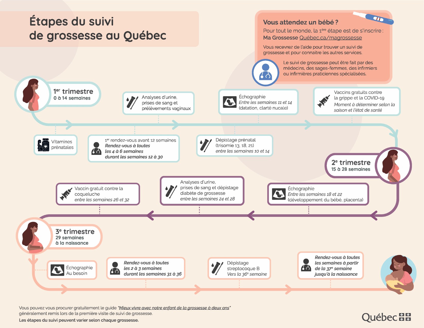 Infographie présentant les étapes du suivi de grossesse au Québec